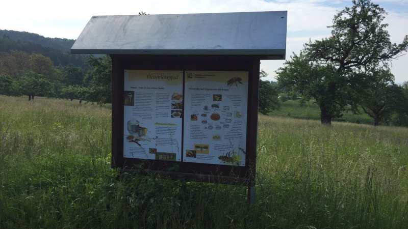 Ein Informationsschild am Bienenlehrpfad steht in einer gr&uuml;nen Wiese, umgeben von B&auml;umen und H&uuml;geln im Hintergrund., &copy; www.pro-cycl.de