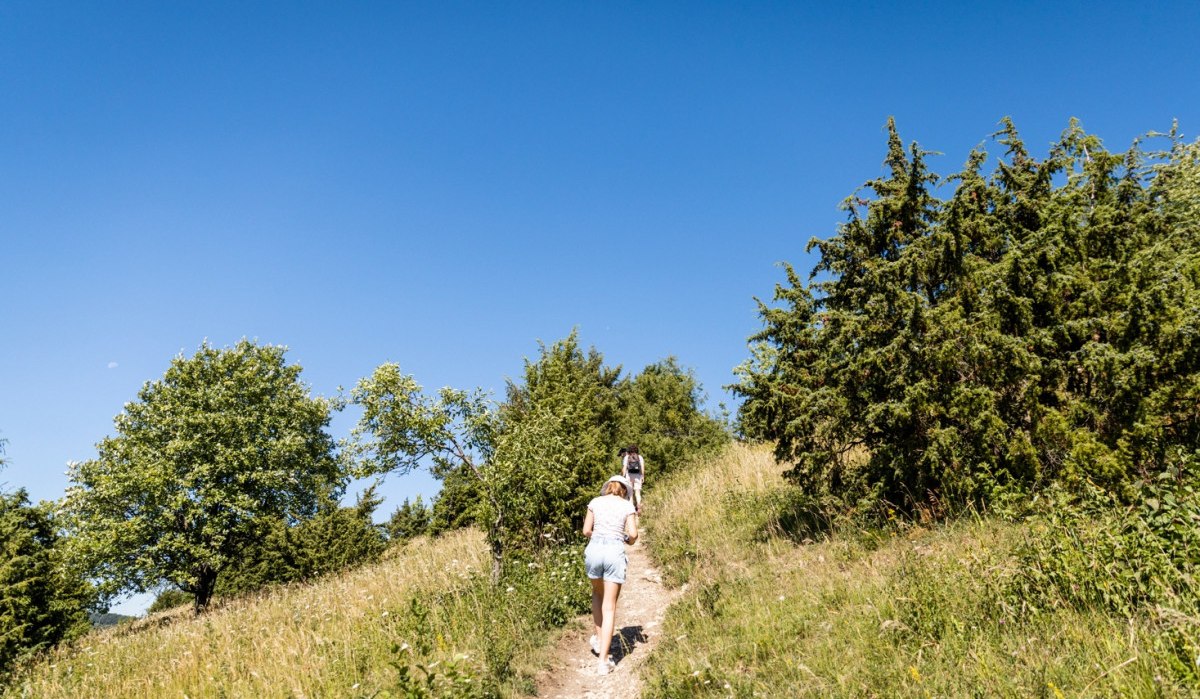 Zwei Personen wandern auf einem schmalen Pfad durch eine grüne, hügelige Landschaft unter klarem, blauem Himmel., © TMBW Zwei Personen wandern auf einem schmalen Pfad durch eine grüne, hügelige Landschaft unter klarem, blauem Himmel., © TMBW