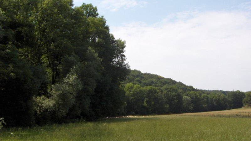 Auricher Naturlandschaft, © Land der 1000 Hügel - Kraichgau-Stromberg Auricher Naturlandschaft, © Land der 1000 Hügel - Kraichgau-Stromberg
