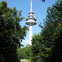 Ein Fernsehturm ragt über einen Waldweg, umgeben von Bäumen, in den blauen Himmel., © Natur.Nah. Schönbuch & Heckengäu