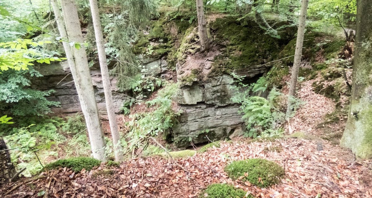Ein verlassener Steinbruch im Wald, umgeben von Bäumen und Moos. Die Felsen sind teilweise mit Vegetation überwuchert., © Natur.Nah. Schönbuch & Heckengäu Ein verlassener Steinbruch im Wald, umgeben von Bäumen und Moos. Die Felsen sind teilweise mit Vegetation überwuchert., © Natur.Nah. Schönbuch & Heckengäu