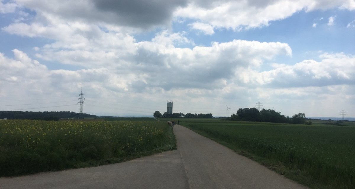 Ein Weg führt durch grüne Felder zu einem Wasserturm am Horizont, unter einem bewölkten Himmel., © www.pro-cycl.de Ein Weg führt durch grüne Felder zu einem Wasserturm am Horizont, unter einem bewölkten Himmel., © www.pro-cycl.de