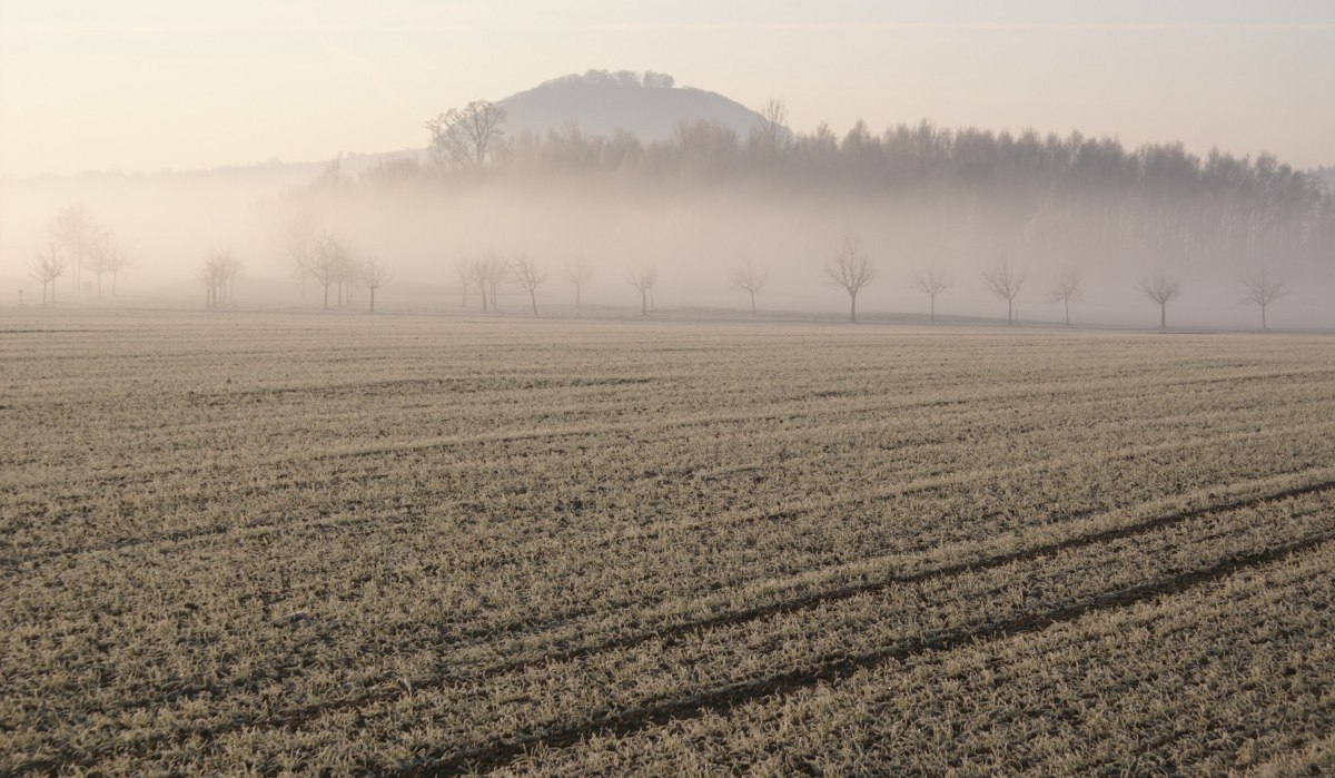 Ein nebelverhangenes Feld mit kahlen Bäumen, im Hintergrund der Hügel Hohenstaufen. Die Szene wirkt ruhig und mystisch., © Stadt Lorch Ein nebelverhangenes Feld mit kahlen Bäumen, im Hintergrund der Hügel Hohenstaufen. Die Szene wirkt ruhig und mystisch., © Stadt Lorch