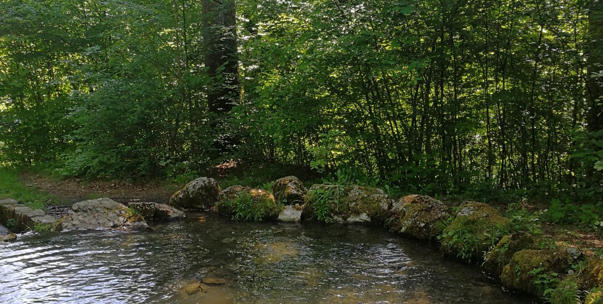 Ein kleiner Teich im Wald, umgeben von üppigem Grün und Bäumen, mit klarem Wasser und Steinen am Ufer., © Bad Urach Tourismus Ein kleiner Teich im Wald, umgeben von üppigem Grün und Bäumen, mit klarem Wasser und Steinen am Ufer., © Bad Urach Tourismus