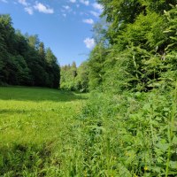 Stilles Weidetäle, © Bad Urach Tourismus