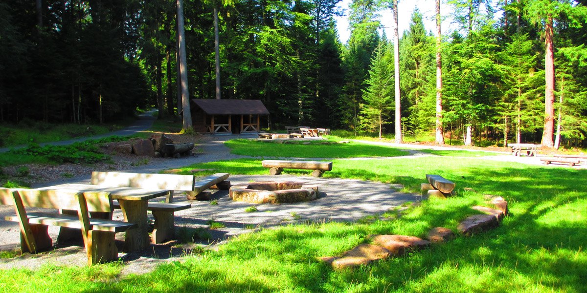 Ein Grillplatz im Wald mit Holztischen, Bänken und einer Feuerstelle, umgeben von hohen Bäumen und grünem Gras., © Locher Fotodesign & Manufaktur