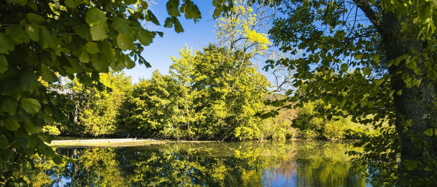 Ein ruhiger Fluss in Gaildorf, umgeben von &uuml;ppigem Gr&uuml;n, spiegelt die B&auml;ume im klaren Wasser wider. Der blaue Himmel rundet die friedliche Szene ab., &copy; SMG, Sarah Schmid