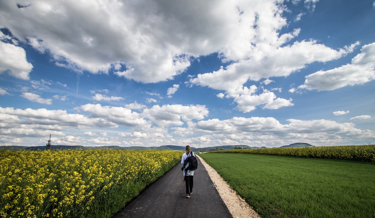 Eine Person wandert auf einem asphaltierten Weg zwischen gelben Blumenfeldern und grünem Gras unter einem blauen Himmel mit weißen Wolken., © Foto: Mario Klaiber Eine Person wandert auf einem asphaltierten Weg zwischen gelben Blumenfeldern und grünem Gras unter einem blauen Himmel mit weißen Wolken., © Foto: Mario Klaiber