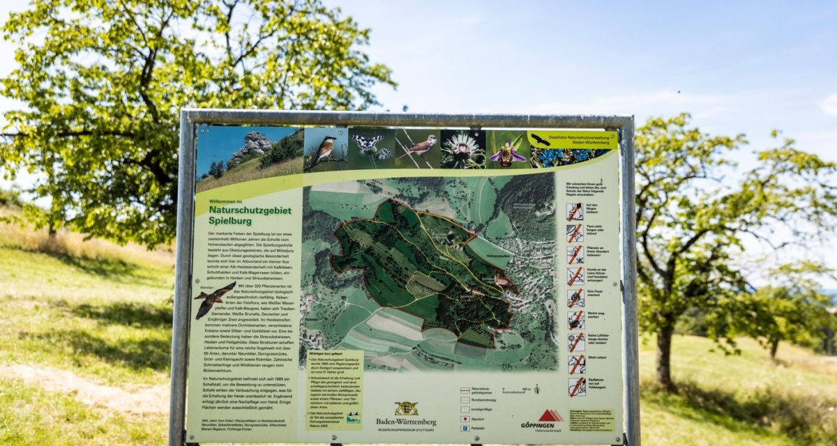 Informationsschild im Naturschutzgebiet Spielburg mit Karte und Hinweisen. Im Hintergrund ein Baum und Wiese unter blauem Himmel., © Stefan Kuhn Photography Informationsschild im Naturschutzgebiet Spielburg mit Karte und Hinweisen. Im Hintergrund ein Baum und Wiese unter blauem Himmel., © Stefan Kuhn Photography