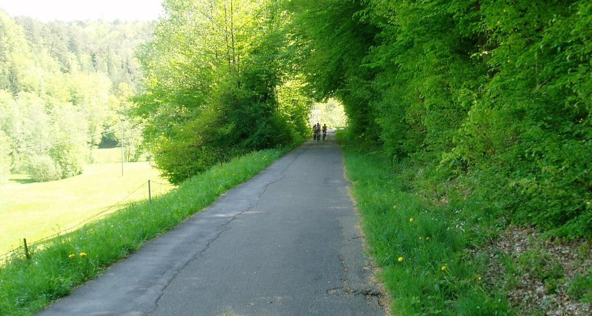 Asphaltierter Weg durch grünen Wald, Bäume auf beiden Seiten, zwei Personen im Hintergrund sichtbar., © Natur.Nah. Schönbuch & Heckengäu Asphaltierter Weg durch grünen Wald, Bäume auf beiden Seiten, zwei Personen im Hintergrund sichtbar., © Natur.Nah. Schönbuch & Heckengäu