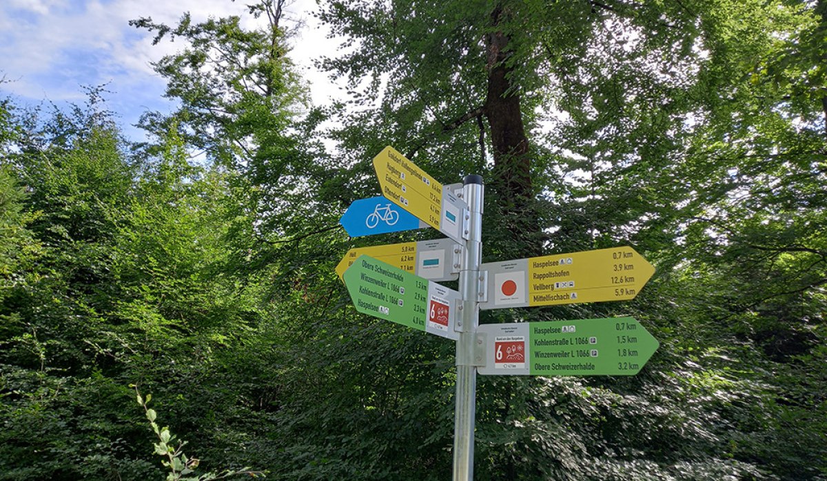 Ein Wegweiser im Wald zeigt verschiedene Richtungen und Entfernungen an. Die Schilder sind gelb, grün und blau. Umgeben von grünen Bäumen. Ein Wegweiser im Wald zeigt verschiedene Richtungen und Entfernungen an. Die Schilder sind gelb, grün und blau. Umgeben von grünen Bäumen.