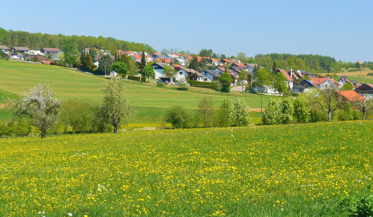 Bl&uuml;hende Wiesen mit gelben Blumen vor einem Dorf mit roten D&auml;chern, umgeben von gr&uuml;nen Feldern und B&auml;umen unter klarem, blauem Himmel., &copy; Natur.Nah. Sch&ouml;nbuch & Heckeng&auml;u