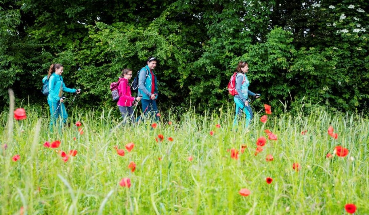 Vier Wanderer in bunter Kleidung gehen über eine blühende Wiese mit roten Blumen, im Hintergrund dichter Wald., © Stadt Kirchheim unter Teck; Torsten Wenzler Vier Wanderer in bunter Kleidung gehen über eine blühende Wiese mit roten Blumen, im Hintergrund dichter Wald., © Stadt Kirchheim unter Teck; Torsten Wenzler