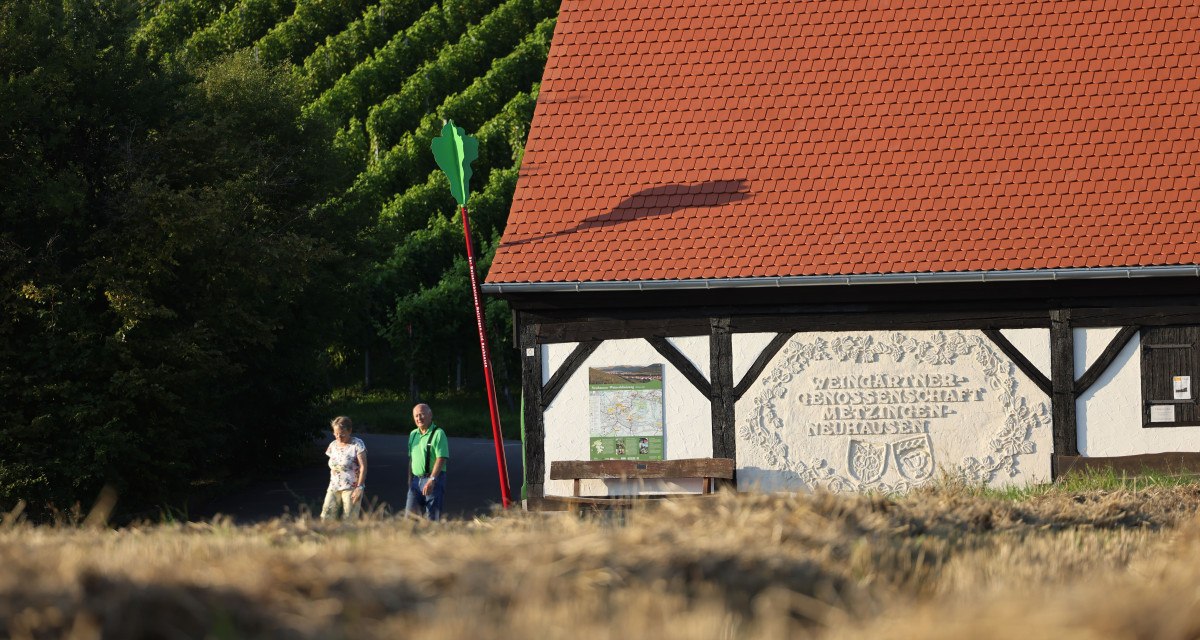Ein Fachwerkgeb&auml;ude mit rotem Dach, daneben zwei Personen. Im Hintergrund sind Weinberge zu sehen. Auf der Wand steht "Weing&auml;rtnergenossenschaft Metzingen-Neuhausen".