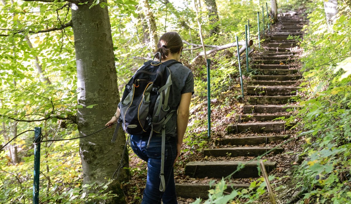 Eine Person mit Rucksack steigt eine steile, bewaldete Treppe hinauf. Die Umgebung ist grün und dicht bewachsen., © Foto Thomas Zehnder Eine Person mit Rucksack steigt eine steile, bewaldete Treppe hinauf. Die Umgebung ist grün und dicht bewachsen., © Foto Thomas Zehnder