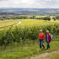 Zwei Frauen wandern durch einen Weinberg. Im Hintergrund erstreckt sich eine weite, hügelige Landschaft mit Feldern und einem Dorf., © Land der 1000 Hügel - Kraichgau-Stromberg