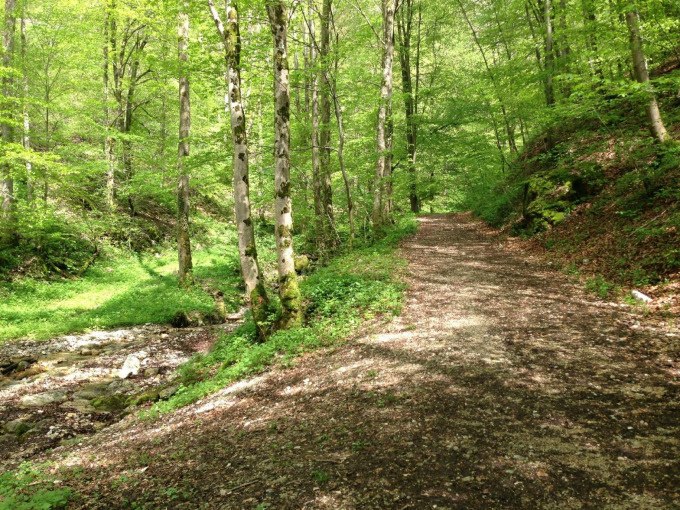 Ein Abenteuer für Kinder und Familien mit Erlebnispädagogin Sarah Spiegler, © Kurverwaltung Bad Urach Ein Abenteuer für Kinder und Familien mit Erlebnispädagogin Sarah Spiegler, © Kurverwaltung Bad Urach