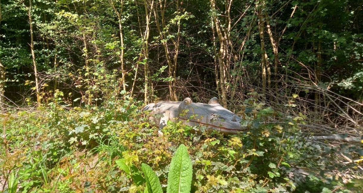 Eine Holzskulptur eines Mastodonsaurus liegt im Wald, umgeben von dichtem Geb&uuml;sch und B&auml;umen, bei sonnigem Wetter.