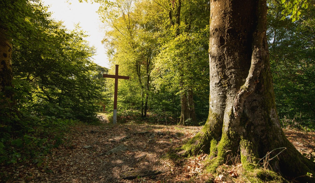 Ein Holzkreuz steht in einem Wald, umgeben von hohen Bäumen und Laub. Sonnenlicht fällt durch das Blätterdach und beleuchtet die Szene., © Remstal Tourismus e.V. Foto Bebop Media Ein Holzkreuz steht in einem Wald, umgeben von hohen Bäumen und Laub. Sonnenlicht fällt durch das Blätterdach und beleuchtet die Szene., © Remstal Tourismus e.V. Foto Bebop Media