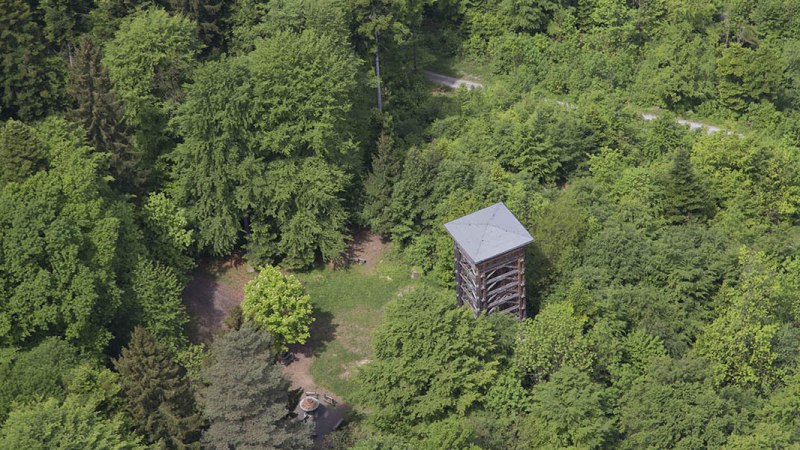 Luftaufnahme eines Aussichtsturms im dichten, grünen Wald. Ein Weg schlängelt sich durch die Bäume.