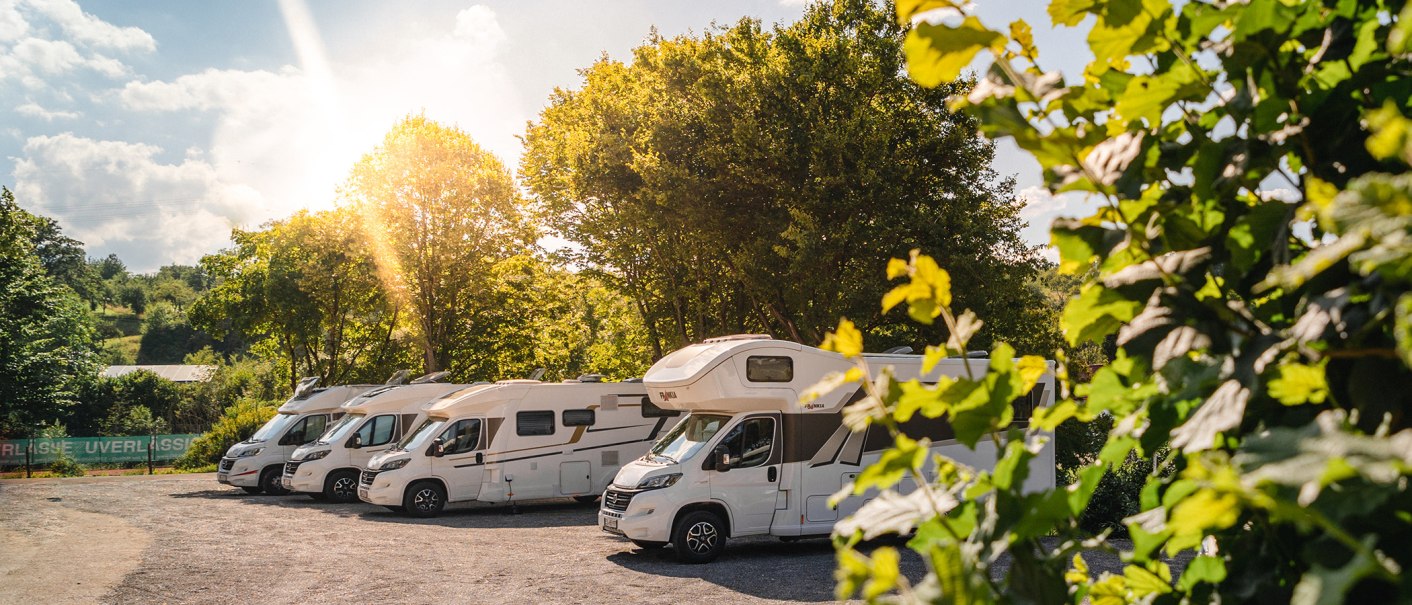 Fünf Wohnmobile parken nebeneinander auf einem sonnigen Stellplatz, umgeben von grünen Bäumen und Pflanzen., © Blu Dolci Artwork