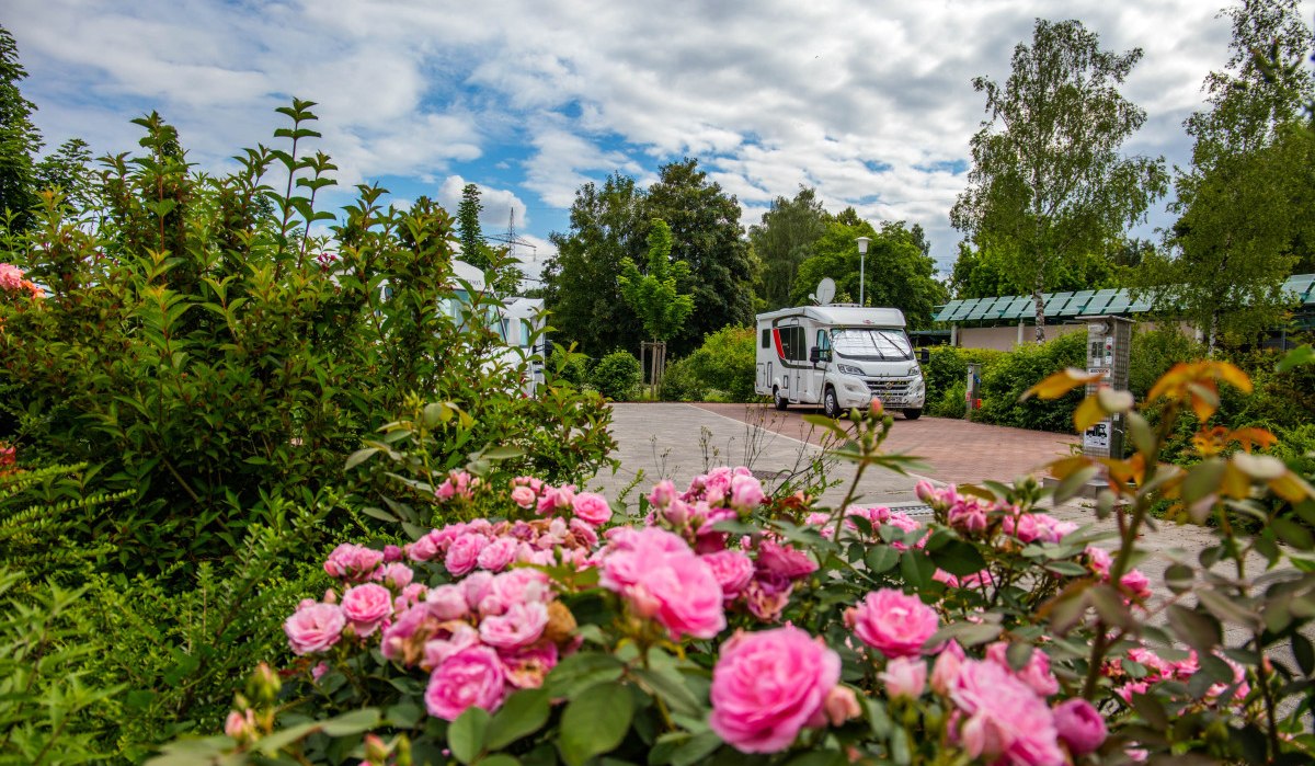 Ein Wohnmobil steht auf einem Stellplatz, umgeben von blühenden Rosen und Bäumen. Der Himmel ist bewölkt., © Bönnigheim Ein Wohnmobil steht auf einem Stellplatz, umgeben von blühenden Rosen und Bäumen. Der Himmel ist bewölkt., © Bönnigheim