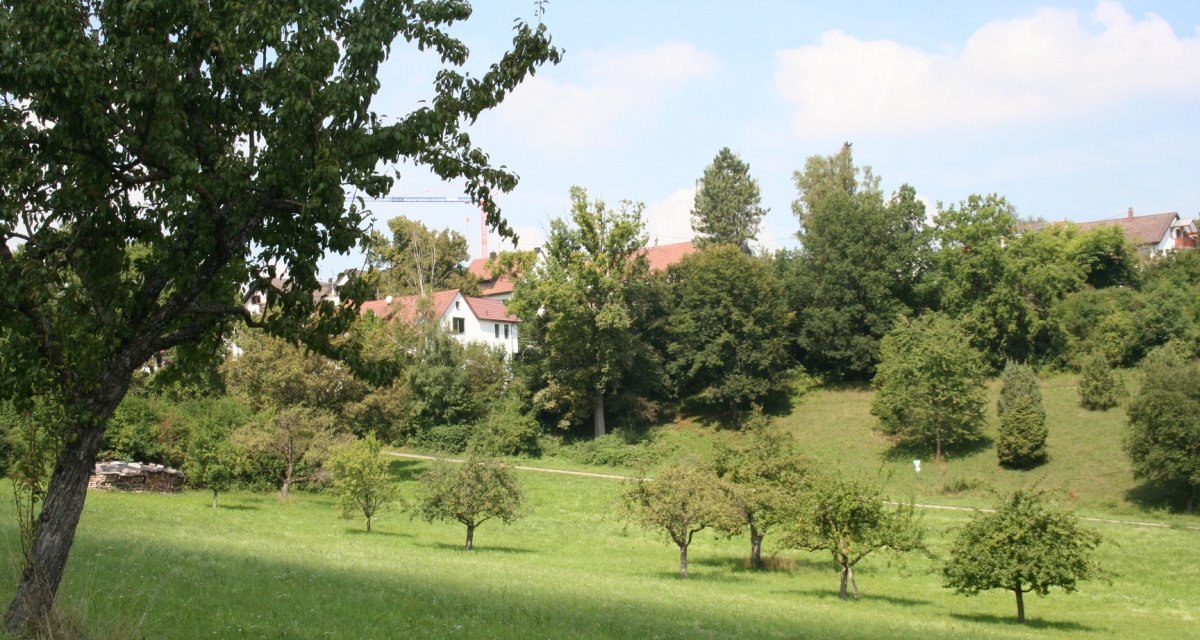 Eine grüne Wiese mit Obstbäumen, im Hintergrund sind Häuser und Bäume zu sehen. Der Himmel ist blau mit einigen Wolken., © Natur.Nah. Schönbuch & Heckengäu Eine grüne Wiese mit Obstbäumen, im Hintergrund sind Häuser und Bäume zu sehen. Der Himmel ist blau mit einigen Wolken., © Natur.Nah. Schönbuch & Heckengäu