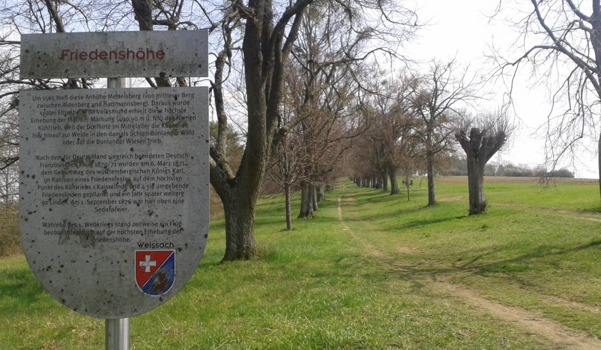 Schild mit der Aufschrift 'Friedenshöhe' vor einer Baumallee auf einem Feldweg. Der Weg führt durch eine grüne Landschaft., © Natur.Nah. Schönbuch & Heckengäu
