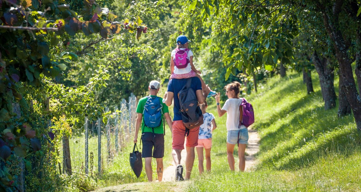 Eine Familie wandert auf einem sonnigen Pfad durch grüne Streuobstwiesen. Ein Kind sitzt auf den Schultern eines Erwachsenen. Alle tragen Rucksäcke., © hochgehberge