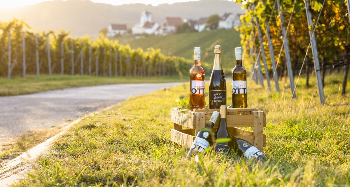Weinflaschen im Weinberg | Sachsenheim | Weingut, © Weingut Kurt und Dietmar Ott Weinflaschen im Weinberg | Sachsenheim | Weingut, © Weingut Kurt und Dietmar Ott