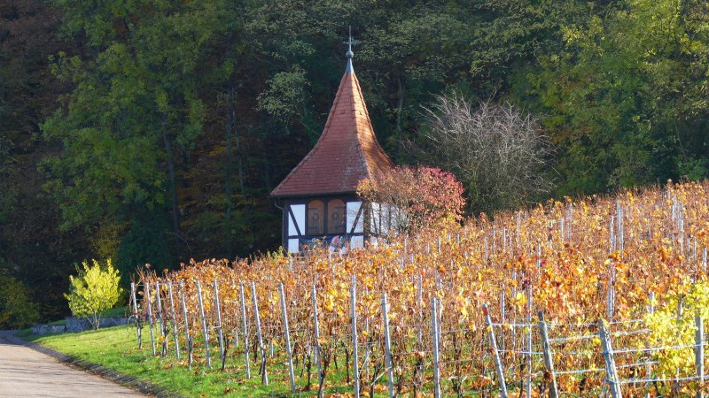 Ein kleines Fachwerkhäuschen mit spitzem Dach steht neben herbstlichen Weinreben. Im Hintergrund sind dichte Bäume zu sehen., © Dieter Sukowski