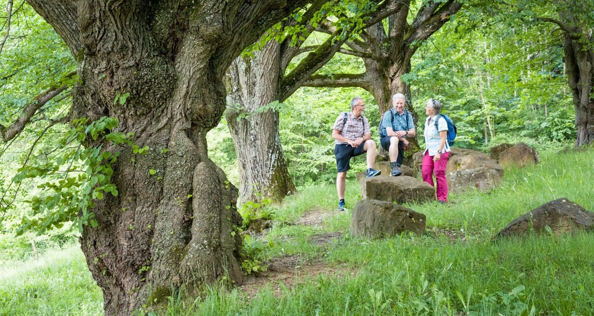 Drei Personen unterhalten sich unter alten Lindenbäumen auf einem grasbewachsenen Pfad. Die Umgebung ist grün und idyllisch., © hochgehberge Drei Personen unterhalten sich unter alten Lindenbäumen auf einem grasbewachsenen Pfad. Die Umgebung ist grün und idyllisch., © hochgehberge