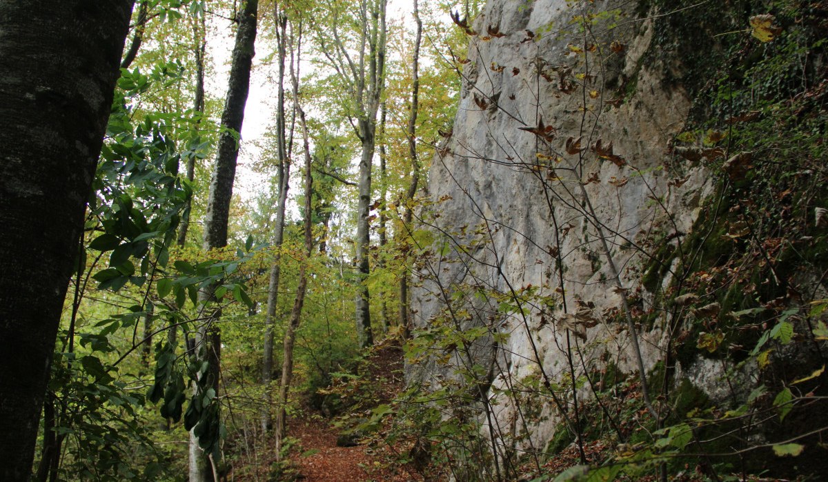Ein Waldweg führt an einem großen Felsen vorbei, umgeben von Bäumen mit Herbstlaub., © Bad Urach Tourismus Ein Waldweg führt an einem großen Felsen vorbei, umgeben von Bäumen mit Herbstlaub., © Bad Urach Tourismus