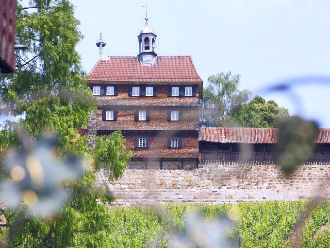Ein historisches Gebäude in Esslingen, umgeben von grünen Weinreben und Bäumen, unter einem klaren blauen Himmel., © Esslinger Stadtmarketing & Tourismus GmbH Ein historisches Gebäude in Esslingen, umgeben von grünen Weinreben und Bäumen, unter einem klaren blauen Himmel., © Esslinger Stadtmarketing & Tourismus GmbH