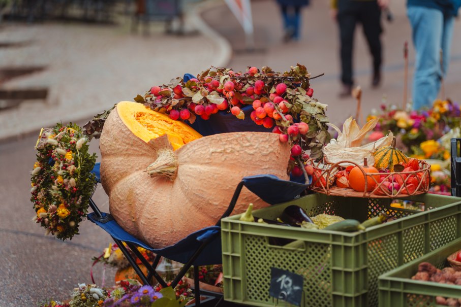 Markt auf dem Haller Herbst, &copy; Michael Kuehneisen