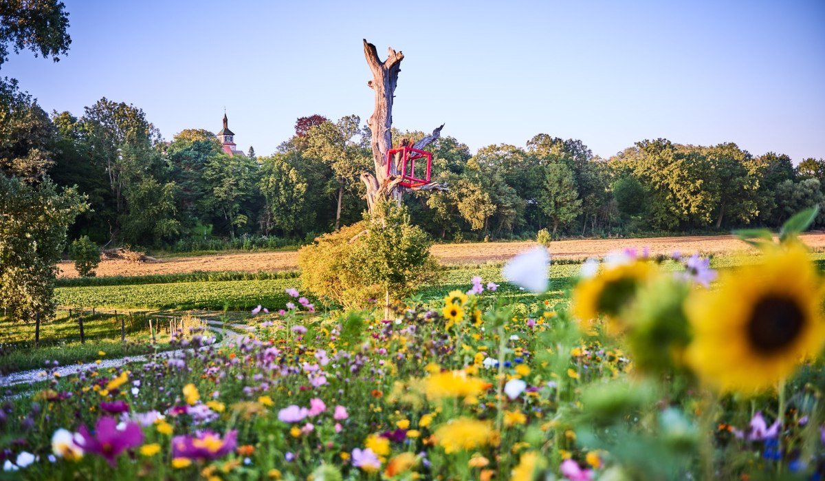 Bunte Blumenwiese mit einem Baumstumpf, auf dem eine rote Skulptur steht. Im Hintergrund sind ein Schloss und Bäume zu sehen., © Natur.Nah. Schönbuch & Heckengäu Bunte Blumenwiese mit einem Baumstumpf, auf dem eine rote Skulptur steht. Im Hintergrund sind ein Schloss und Bäume zu sehen., © Natur.Nah. Schönbuch & Heckengäu