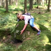 Shinrin Yoku - Waldbaden: Sommerfrisch und Himmelblau, &copy; WTM GmbH Waiblingen