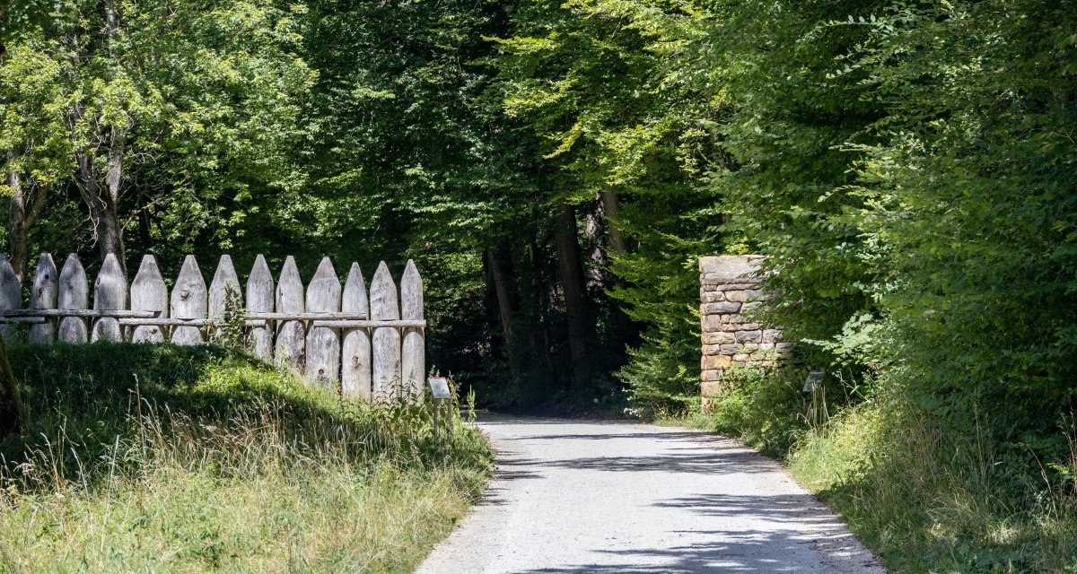 Ein Waldweg im Rotenbachtal, flankiert von einem Holzzaun links und einer Steinmauer rechts, umgeben von dichtem Grün., © Foto Thomas Zehnder Ein Waldweg im Rotenbachtal, flankiert von einem Holzzaun links und einer Steinmauer rechts, umgeben von dichtem Grün., © Foto Thomas Zehnder