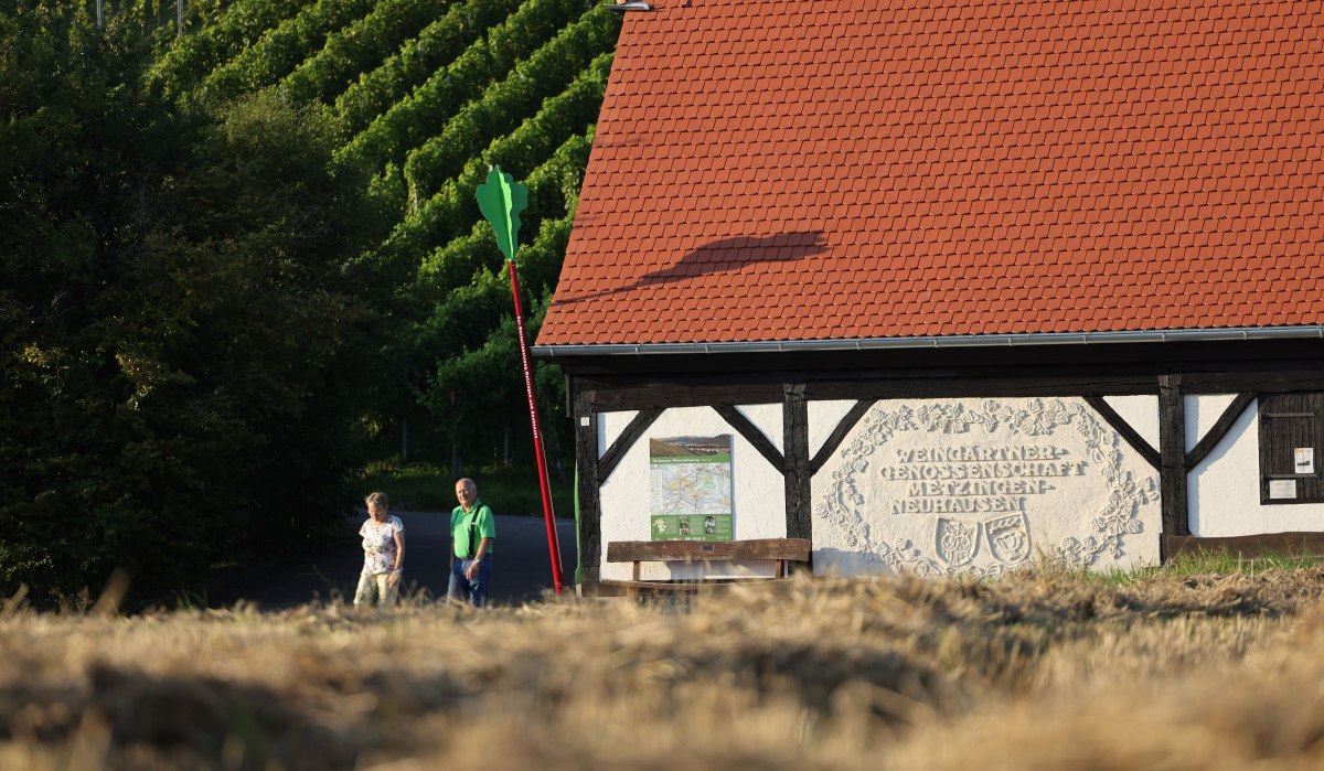 Ein Fachwerkgebäude mit rotem Dach, daneben zwei Personen. Im Hintergrund sind Weinberge zu sehen. Auf der Wand steht "Weingärtnergenossenschaft Metzingen-Neuhausen".