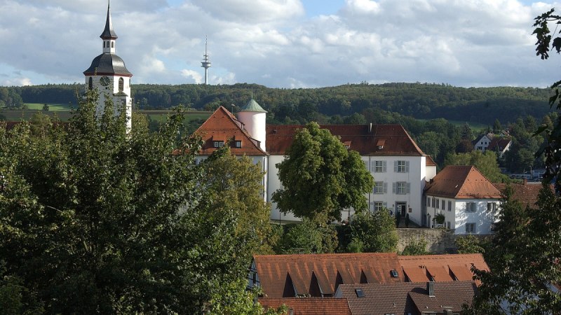Ein Schloss mit rotem Dach und Kirchturm, umgeben von Bäumen und Hügeln. Im Hintergrund ist ein Fernsehturm zu sehen., © Natur.Nah. Schönbuch & Heckengäu Ein Schloss mit rotem Dach und Kirchturm, umgeben von Bäumen und Hügeln. Im Hintergrund ist ein Fernsehturm zu sehen., © Natur.Nah. Schönbuch & Heckengäu
