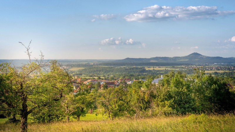 Landschaft mit Obstbäumen, Wiesen und einem Dorf im Hintergrund, umgeben von Hügeln unter blauem Himmel mit Wolken., © Stuttgart Marketing GmbH Martina Denker