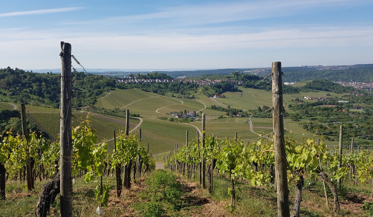 Vom Kappelberg aus blickt man über die Weinberge zur Grabkapelle Württemberg und ins Neckartal., © Remstal Tourismus e.V. Vom Kappelberg aus blickt man über die Weinberge zur Grabkapelle Württemberg und ins Neckartal., © Remstal Tourismus e.V.