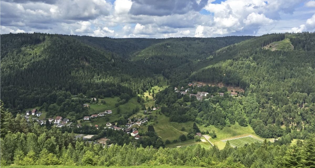Panoramablick ins grüne Enztal mit dichten Wäldern, verstreuten Häusern und einem bewölkten Himmel., © www.pro-cycl.de Panoramablick ins grüne Enztal mit dichten Wäldern, verstreuten Häusern und einem bewölkten Himmel., © www.pro-cycl.de