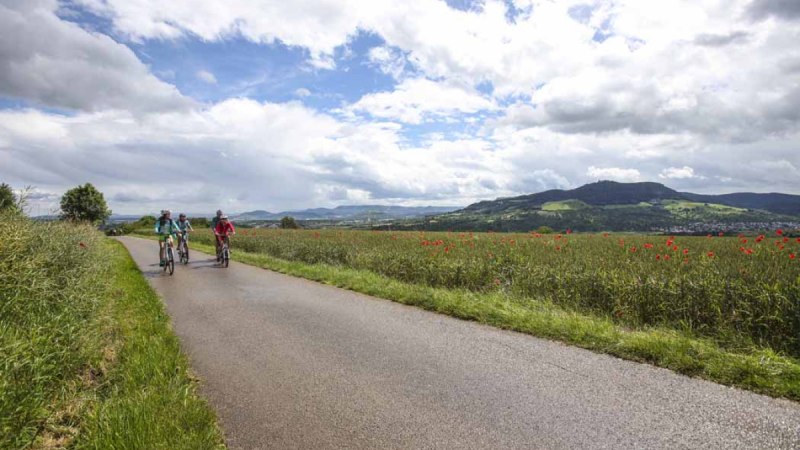 Drei Radfahrer fahren auf einer Landstraße, umgeben von Mohnblumenfeldern. Im Hintergrund sind Hügel und eine bewölkte Himmel zu sehen., © Schwäbische Alb Tourismusverband e.V. Drei Radfahrer fahren auf einer Landstraße, umgeben von Mohnblumenfeldern. Im Hintergrund sind Hügel und eine bewölkte Himmel zu sehen., © Schwäbische Alb Tourismusverband e.V.