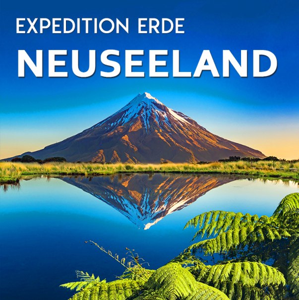 Ein schneebedeckter Berg in Neuseeland spiegelt sich in einem ruhigen See. Im Vordergrund sind grüne Farne zu sehen, der Himmel ist klar und blau., © Expedition Erde Ein schneebedeckter Berg in Neuseeland spiegelt sich in einem ruhigen See. Im Vordergrund sind grüne Farne zu sehen, der Himmel ist klar und blau., © Expedition Erde