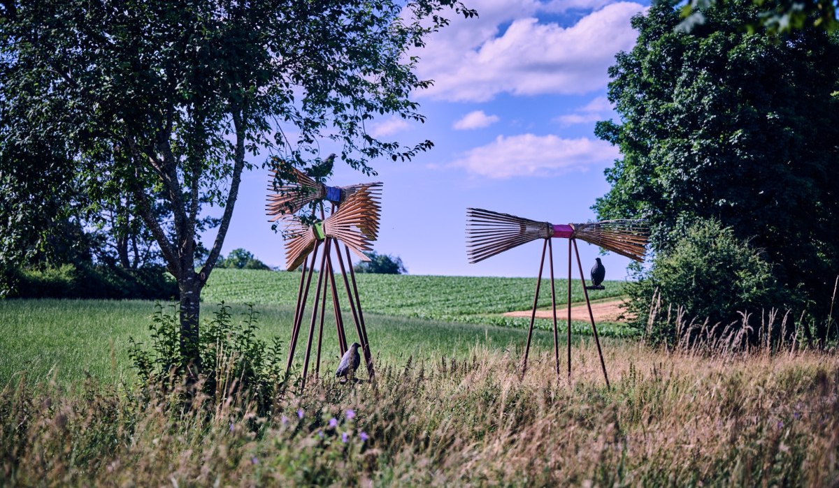 &copy; Natur.Nah. Sch&ouml;nbuch & Heckeng&auml;u