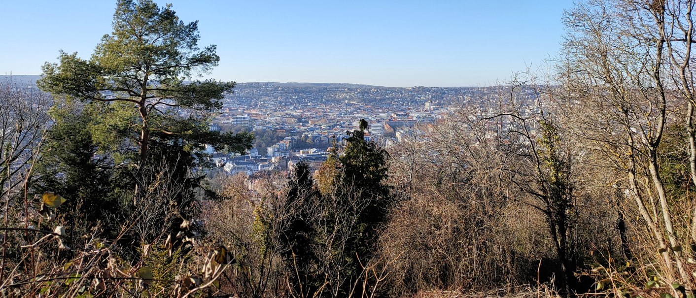 Blick von einem bewaldeten Hügel auf eine Stadt im Tal, umgeben von kahlen Bäumen und einem klaren blauen Himmel., © SMG Blick von einem bewaldeten Hügel auf eine Stadt im Tal, umgeben von kahlen Bäumen und einem klaren blauen Himmel., © SMG