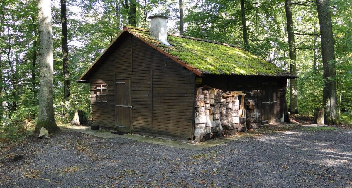CB1 Wanderdreiklang Cleebronn | Hütte im Wald, © Neckar-Zaber-Tourismus e.V. CB1 Wanderdreiklang Cleebronn | Hütte im Wald, © Neckar-Zaber-Tourismus e.V.