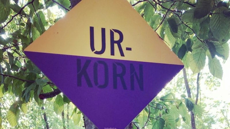 Trails of Hall - Mountainbike Trail am Einkorn - Route Urkorn, &copy; Hohenlohe + Schw&auml;bisch Hall Tourismus e. V.