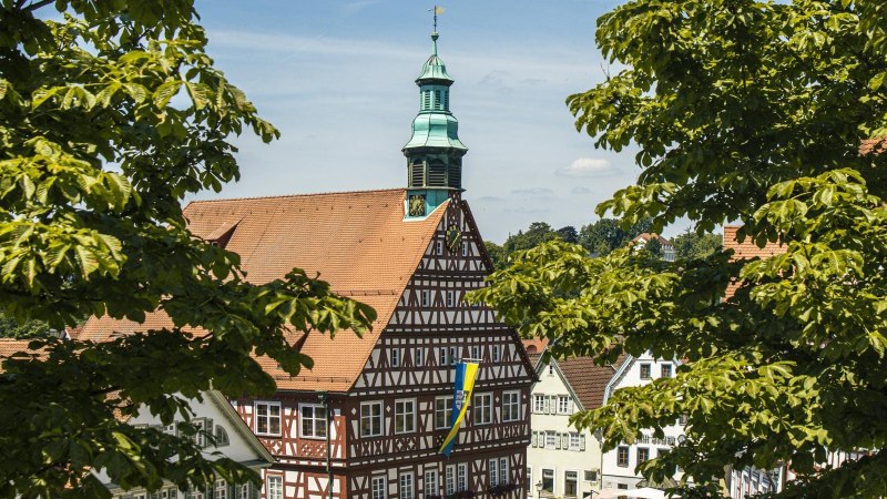 Das Fachwerk-Rathaus von Backnang ragt zwischen grünen Bäumen hervor. Der Turm mit Uhr und Wetterfahne ist gut sichtbar., © SMG, Sarah Schmid Das Fachwerk-Rathaus von Backnang ragt zwischen grünen Bäumen hervor. Der Turm mit Uhr und Wetterfahne ist gut sichtbar., © SMG, Sarah Schmid